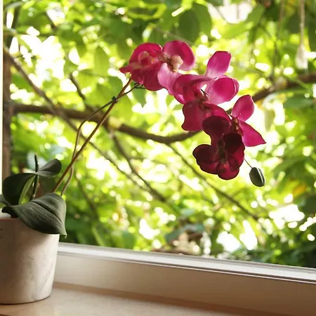 Old Town Garden 두브로브니크