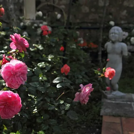 Lägenhet Old Town Garden *