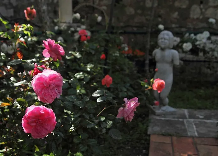 公寓 Old Town Garden *
